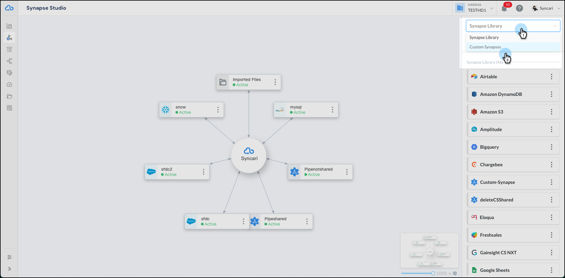 access-custom-synapse.png
